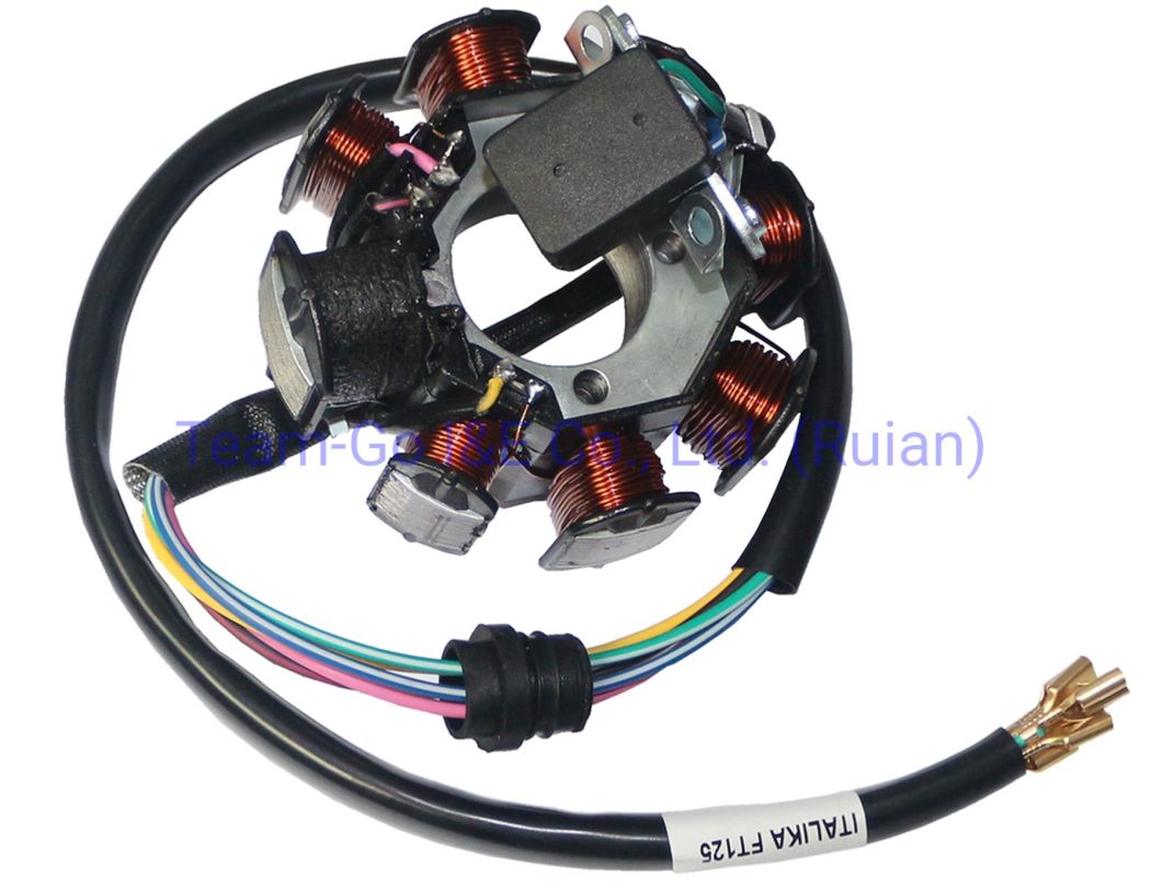 Motorcycle Coil Assy Magneto for OEM 31120-Kwt-901