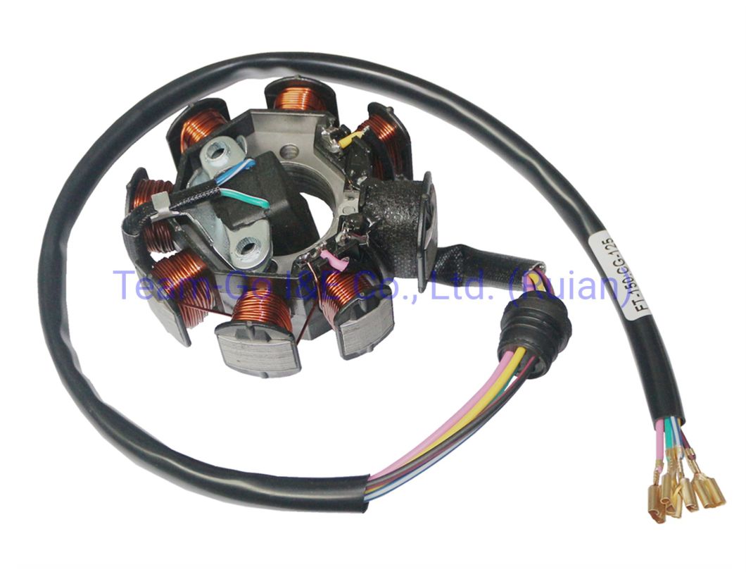 Motorcycle Coil Assy Magneto for OEM 31120-Kwt-901