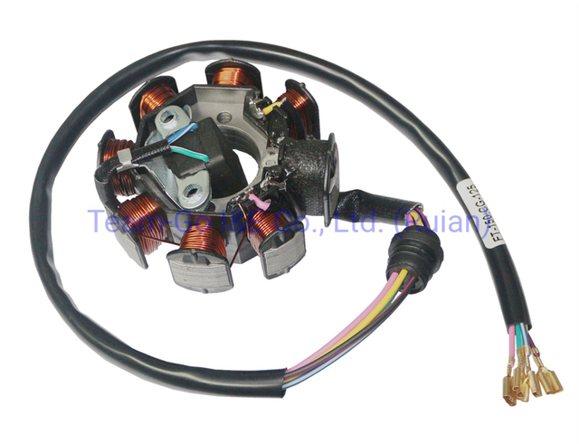 Motorcycle Coil Assy Magneto for OEM 31120-Kwt-901