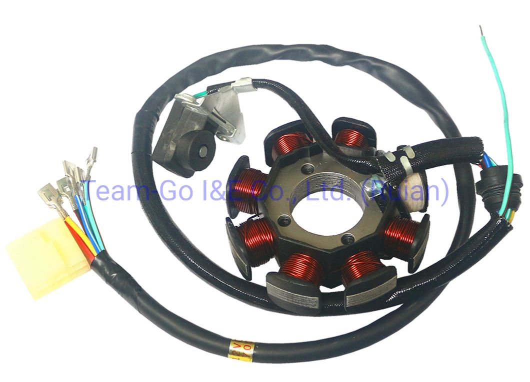 Motorcycle Coil Assy Magneto for Model Gl150