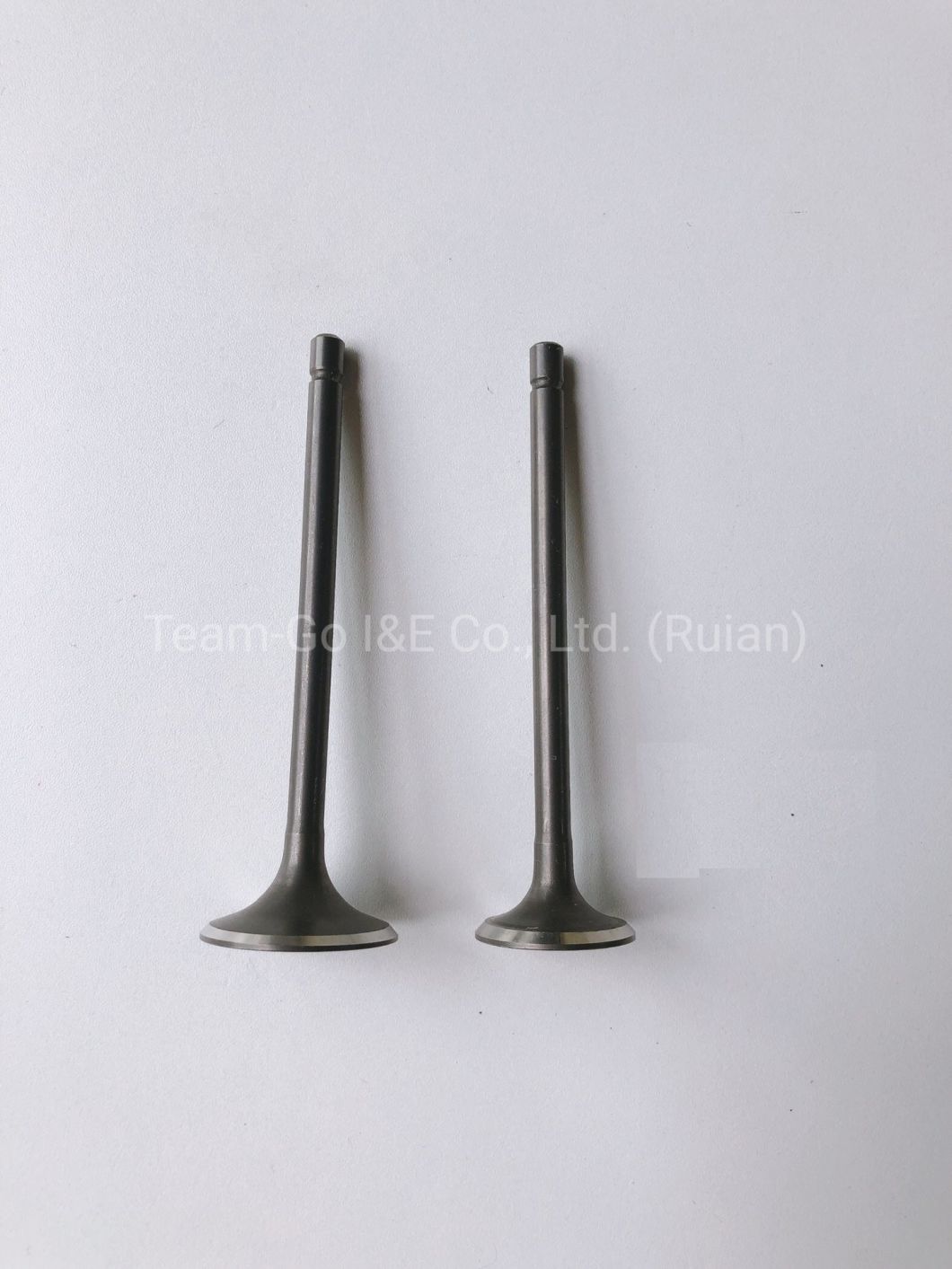 Model Cg125 Engine Valve for Motorcycle Engine