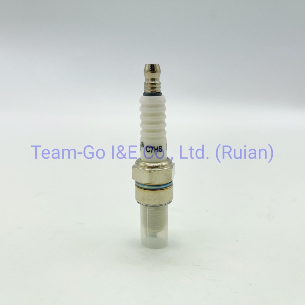 Motorcycle Spare Part Spark Plug for Tvs3w