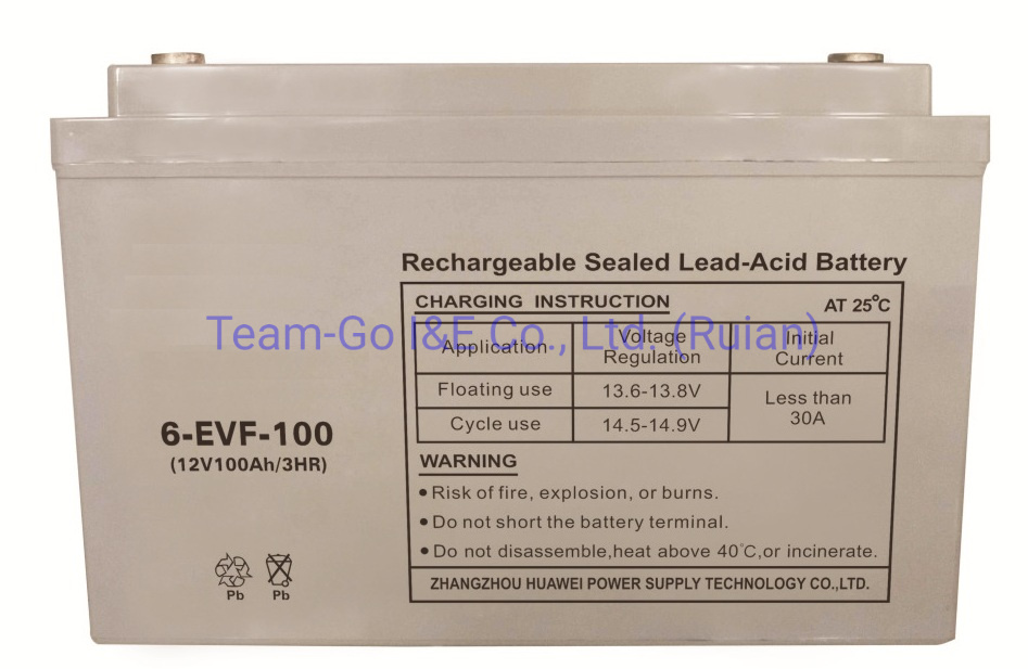 E-Bike Sealed Lead-Acid Battery for Electric Motorcycle 12V 100ah 3hr 6-Evf-100