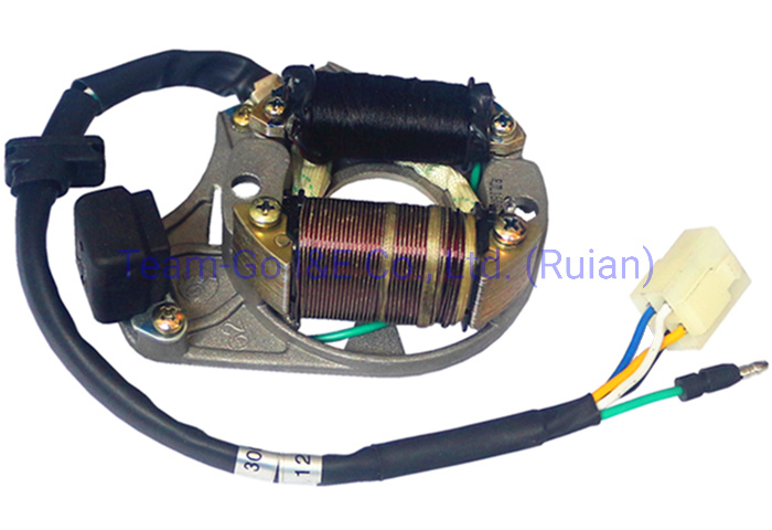 Motorcycle Coil Assy Magneto for Akt180