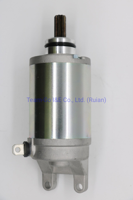 Motorcycle Starter Motor (31100-24F00, 31100-24F01) Suzuki for Brazil