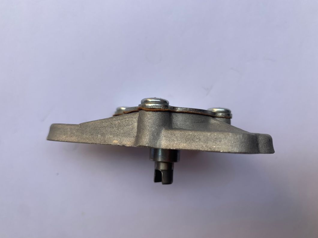 Motorcycle Part Oil Pump for Model CD110