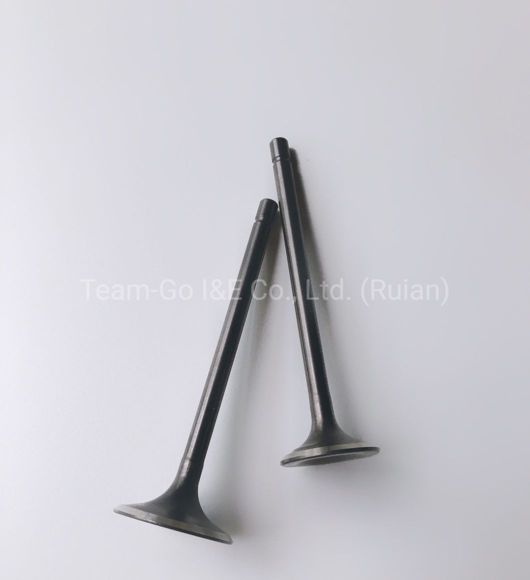 Model Cg125 Engine Valve for Motorcycle Engine