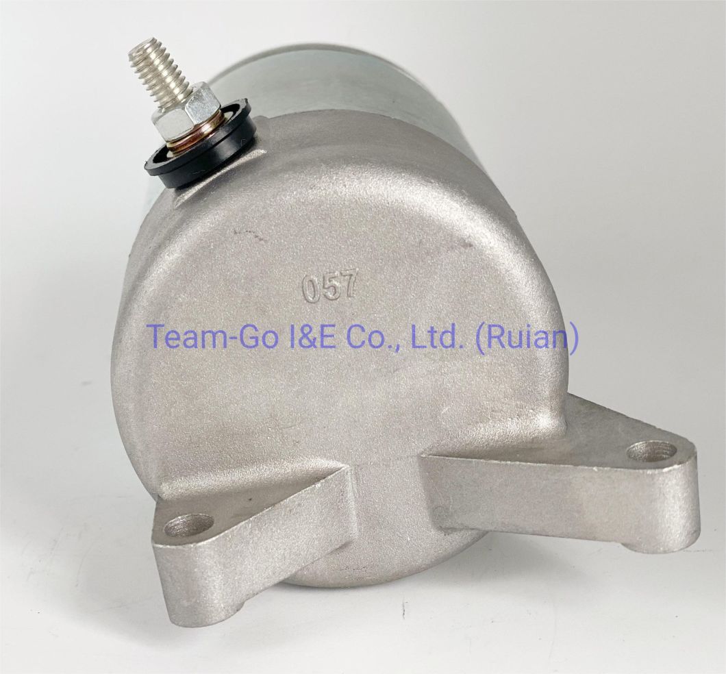 Motorcycle Starter Motor for Colombia Market YAMAHA (3JB-81800-01-00)
