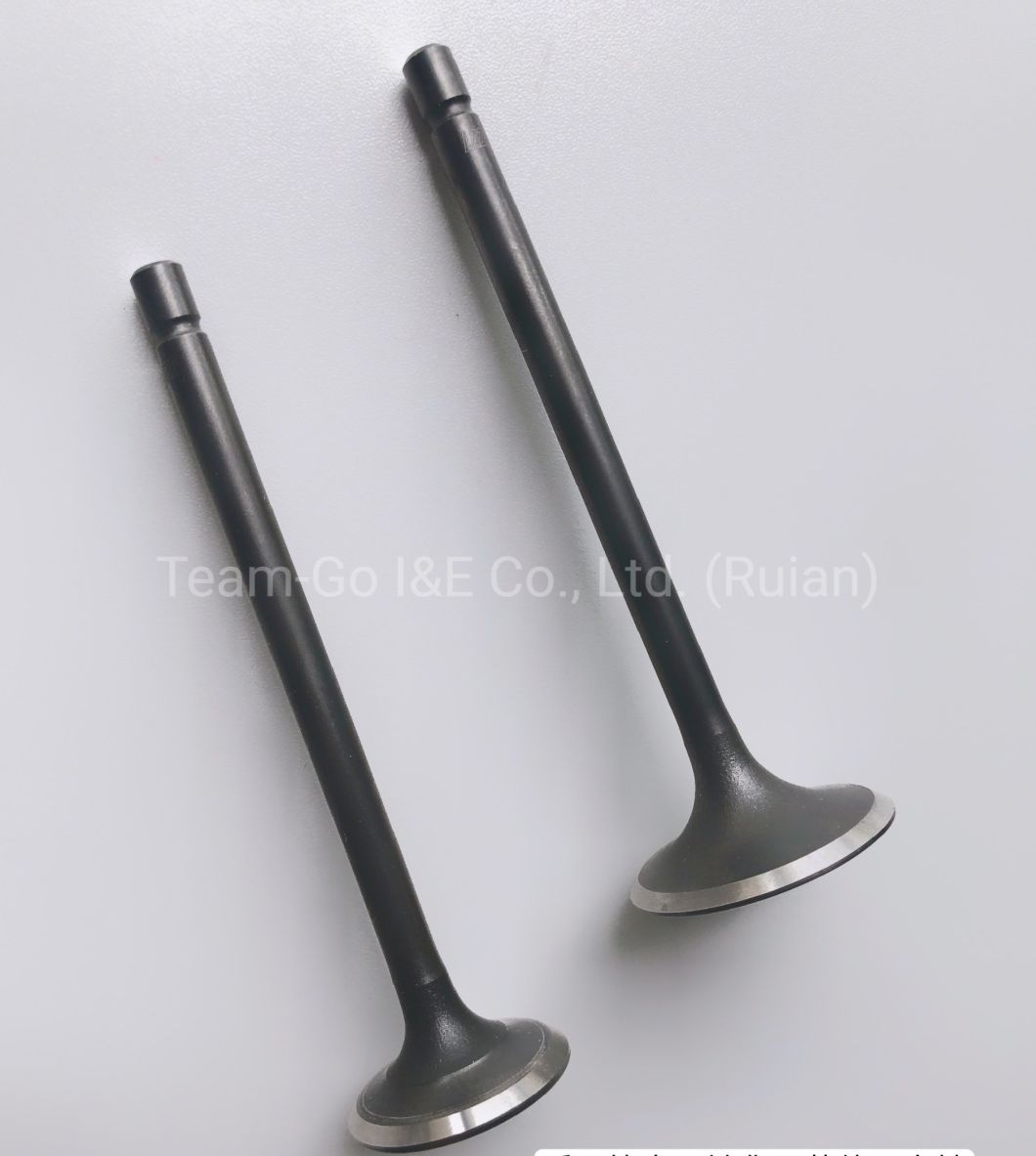 Motorcycle Spare Part Engine Valve of Model CD110
