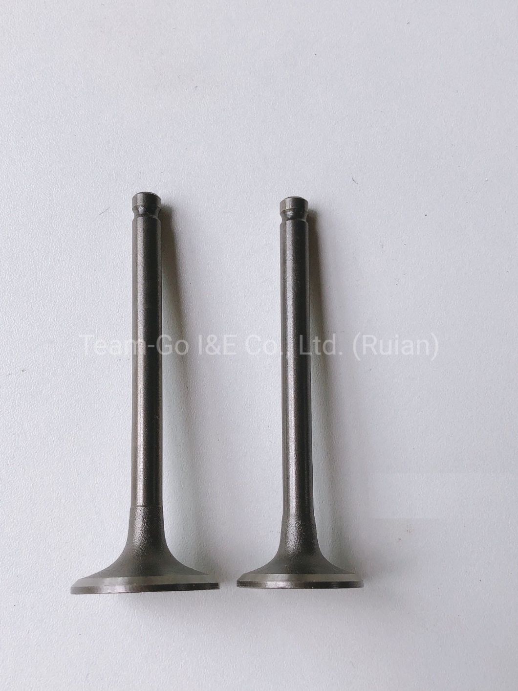 Motorcycle Spare Part Engine Valve of Model CD110
