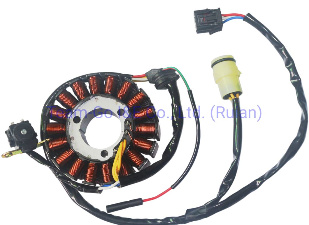 Motorcycle Coil Assy Magneto for Yes