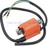 Motorcycle Ignition Coil with Different Models