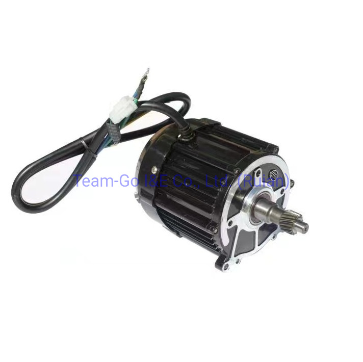 Starter Motor for Electric Vehicles 48V1000 W with Various Specifications