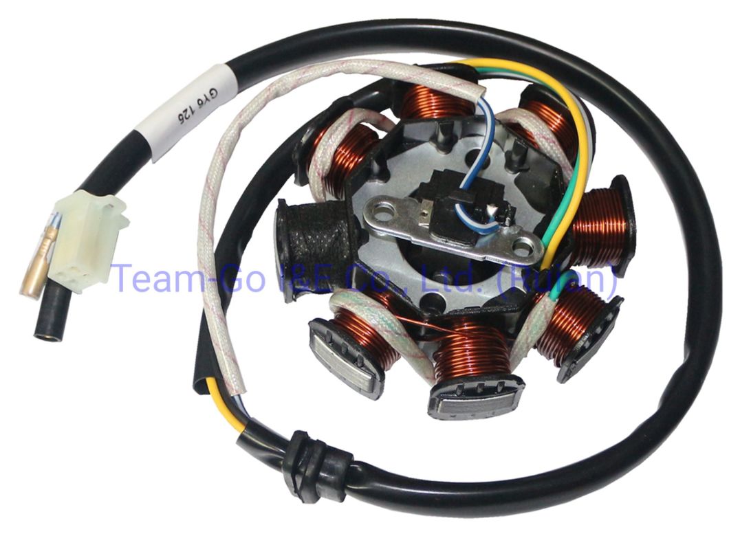 Motorcycle Coil Assy Magneto for OEM 31120-Kwt-901