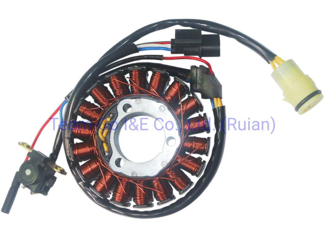 Motorcycle Coil Assy Magneto for Yes