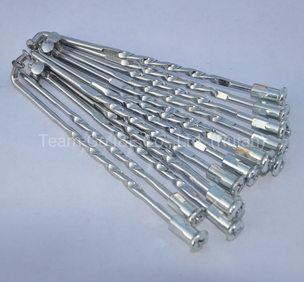 Motorcycle Spokes with Nipples with High Quality and Strength