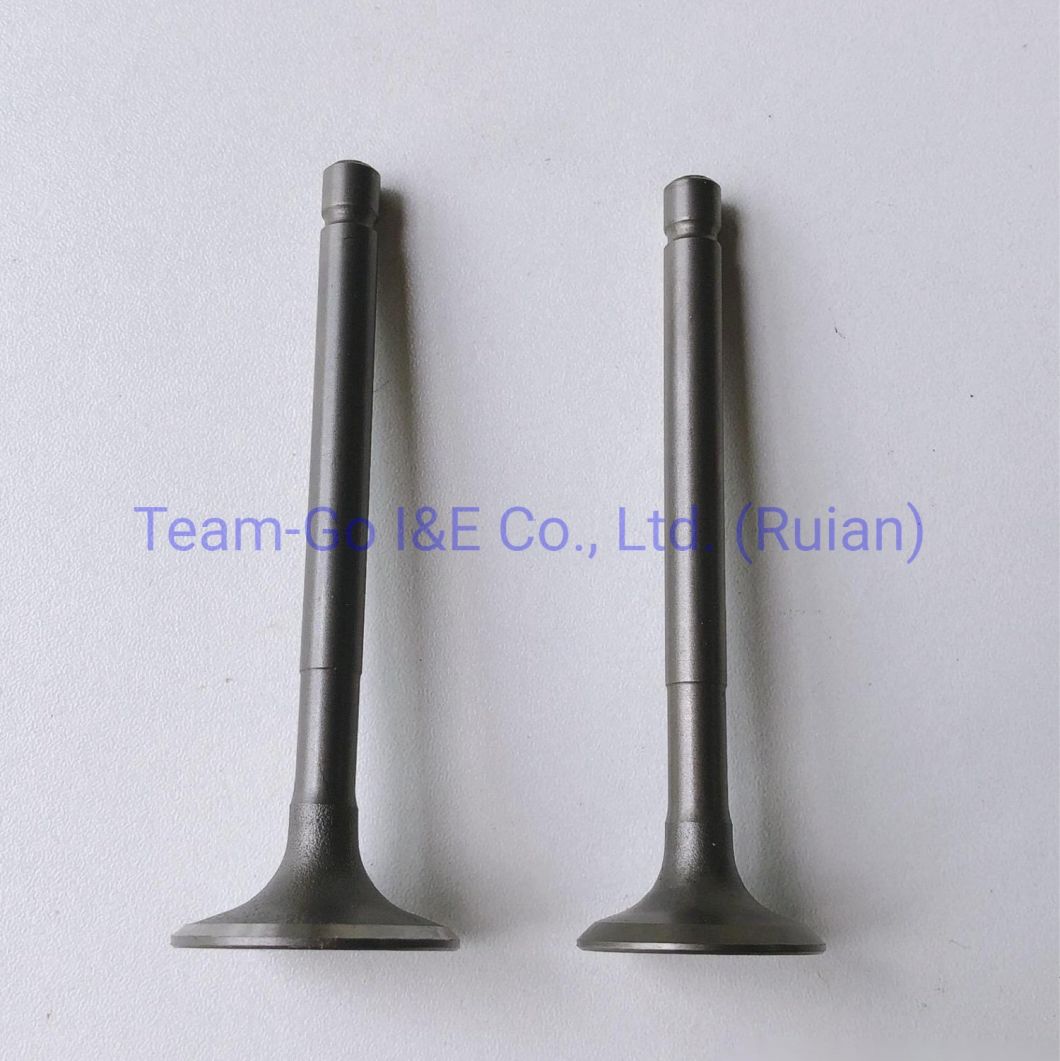 Motorcyle Part for Different Models for Different Market with High Quality