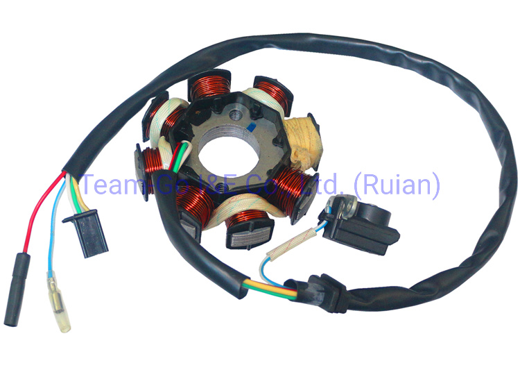 Motorcycle Coil Assy Magneto for Akt180