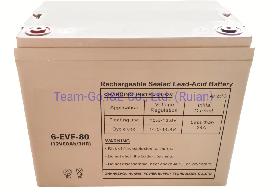 Various of Battery for Electric Motorcycle 6-Evf-80 12V80ah3hr