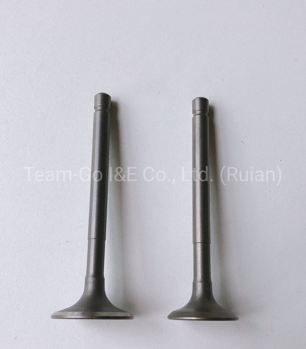 Motorcycle Engine Valve for Baj