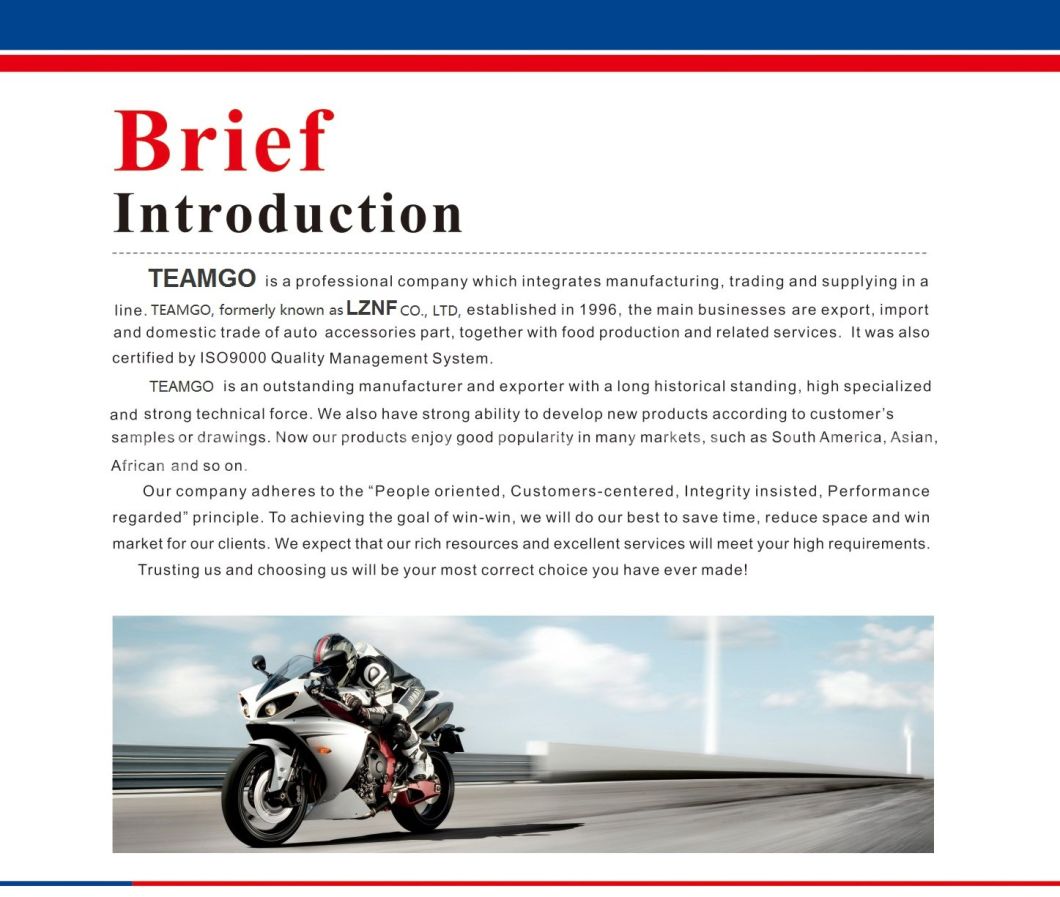 Motorcycle Part Motorcycle Absorber Front Fork Pipe