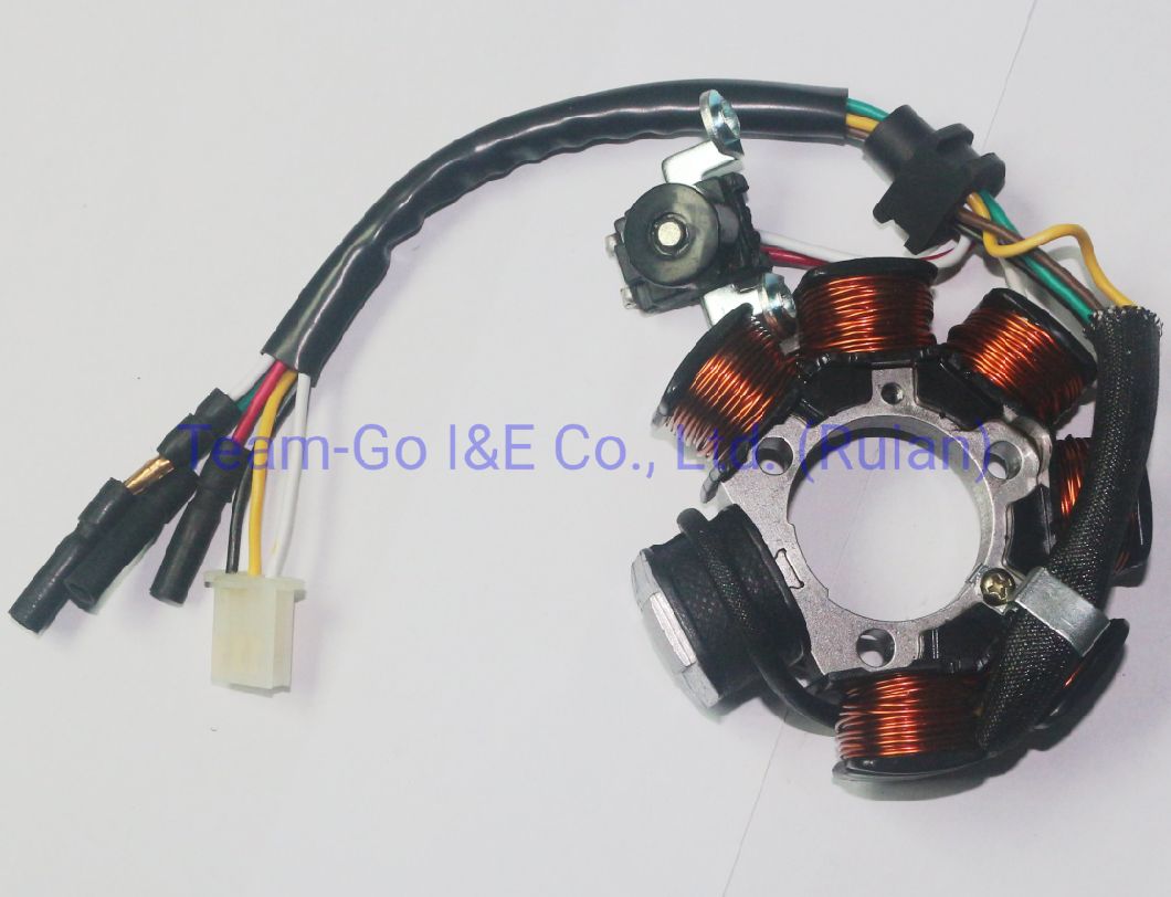 Motorcycle Coil Assy Magneto