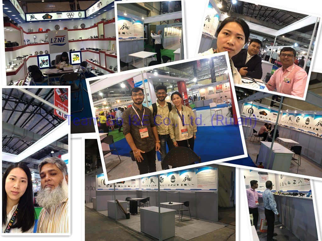 Motorcycle Bearing for Bajaj/Cg125/Titan 2000