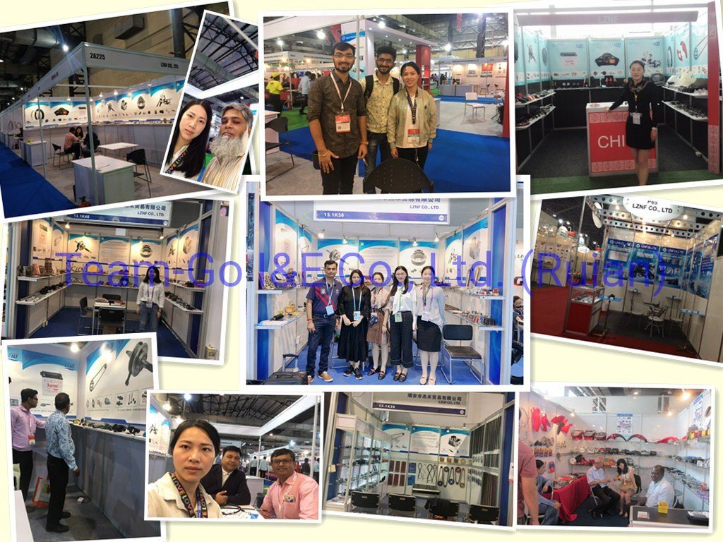 Motorcycle Bearing /Front Fork Kunckle Bearing for Bajaj/Tvs/Honda