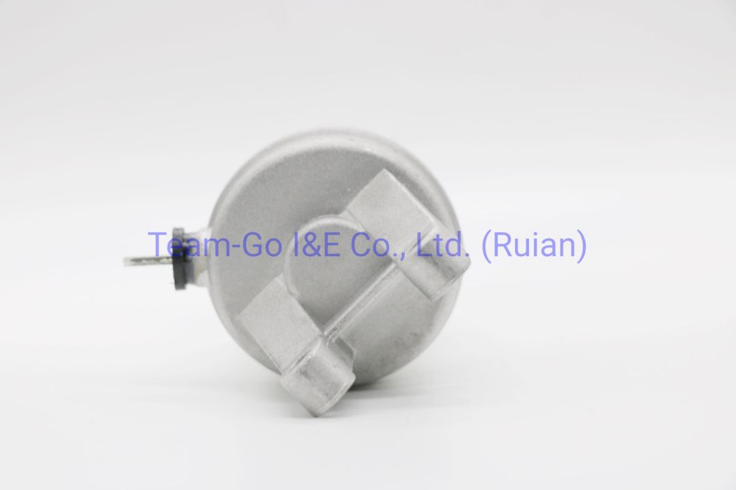 Motorcycle Starter Motor (31100-24F00, 31100-24F01) Suzuki for Brazil