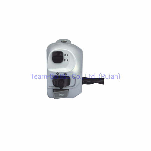 Motorcycle Handlebar Switch Assembly with Best Price and Quality